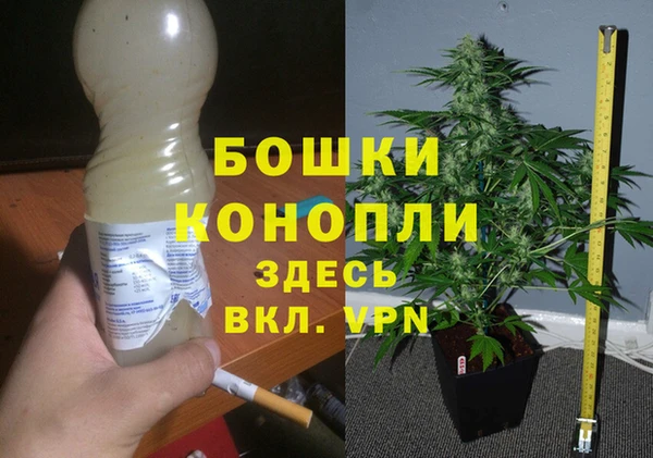 амфетамин Белокуриха