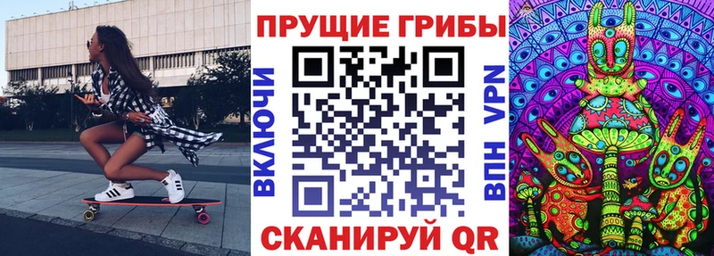Псилоцибиновые грибы прущие грибы нарко площадка Telegram Купино купить сайты
